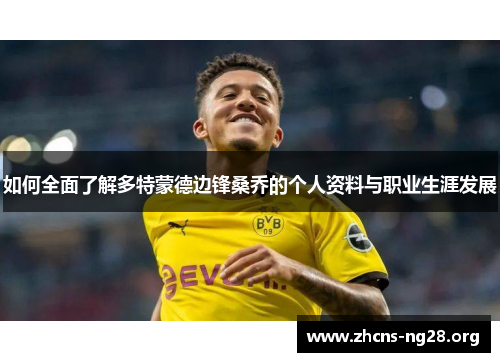 如何全面了解多特蒙德边锋桑乔的个人资料与职业生涯发展