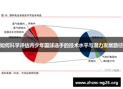 如何科学评估青少年国球选手的技术水平与潜力发展路径