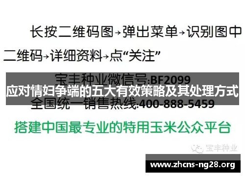 应对情妇争端的五大有效策略及其处理方式