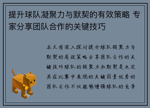 提升球队凝聚力与默契的有效策略 专家分享团队合作的关键技巧