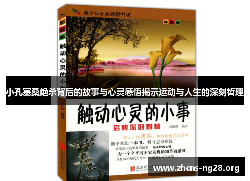 小孔塞桑绝杀背后的故事与心灵感悟揭示运动与人生的深刻哲理