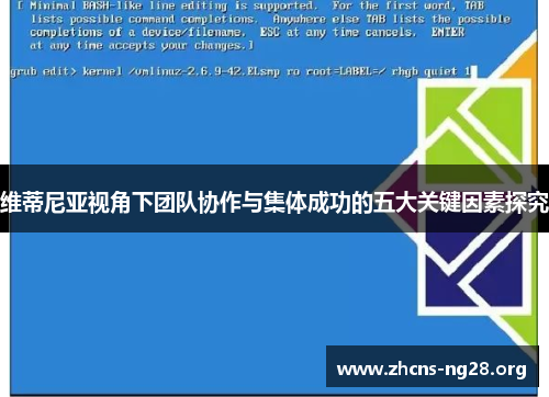维蒂尼亚视角下团队协作与集体成功的五大关键因素探究