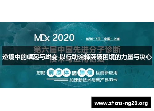 逆境中的崛起与蜕变 以行动诠释突破困境的力量与决心