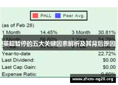 英超暂停的五大关键因素解析及其背后原因 英超暂停的五大关键因素解析及其背后原因