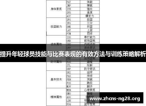提升年轻球员技能与比赛表现的有效方法与训练策略解析 提升年轻球员技能与比赛表现的有效方法与训练策略解析